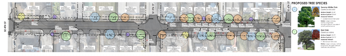 Douglas Concept Tree Plan
